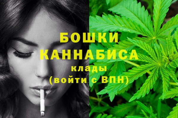 spice Богородицк