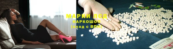spice Богородицк