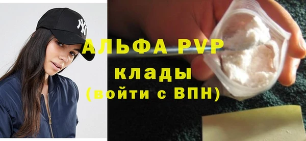 spice Богородицк