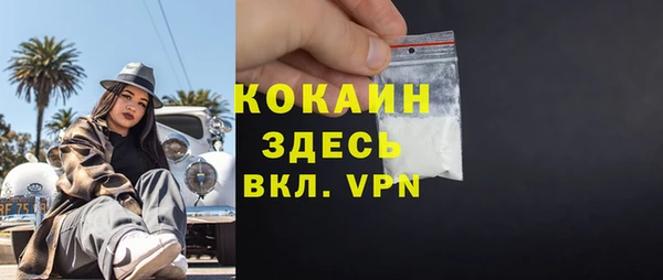 spice Богородицк
