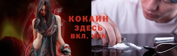 spice Богородицк