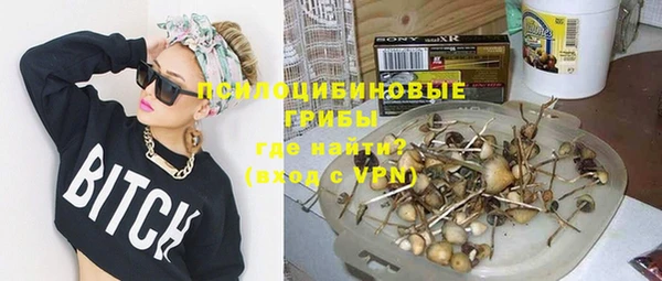 spice Богородицк