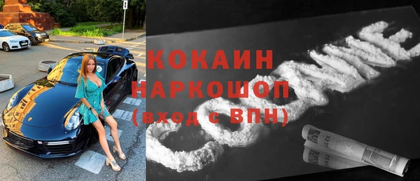 spice Богородицк