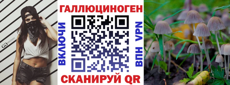 mega ссылки Козельск Псилоцибиновые грибы GOLDEN TEACHER