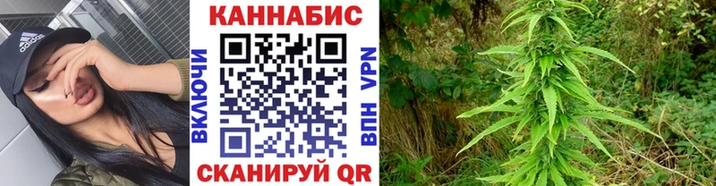 площадка наркотические препараты  Козельск  Конопля LSD WEED  закладки 